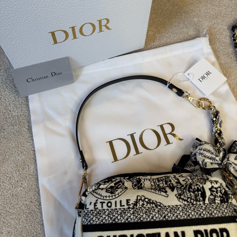 Christian Dior Plan de Paris Crossbody Bag - Picture 5 of 14